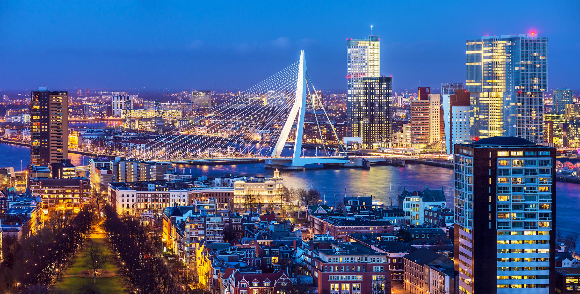 Rotterdam: The Young Dutch City | itinari